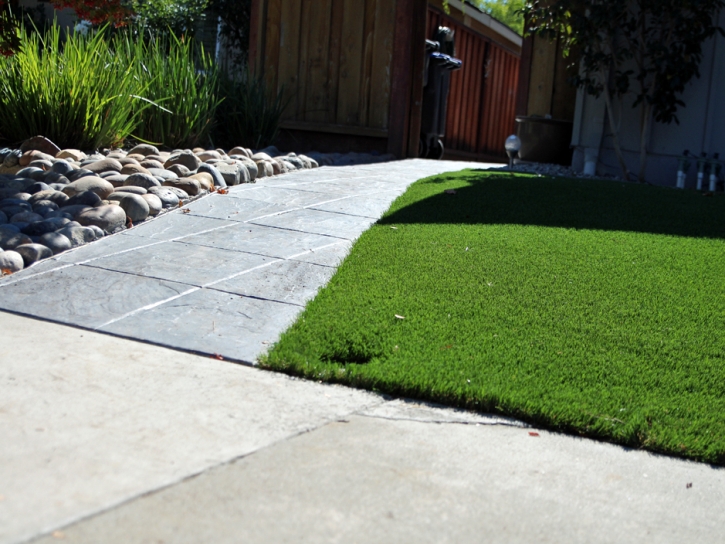 Grass Carpet Crows Landing, California Lawn And Garden, Front Yard Landscape Ideas