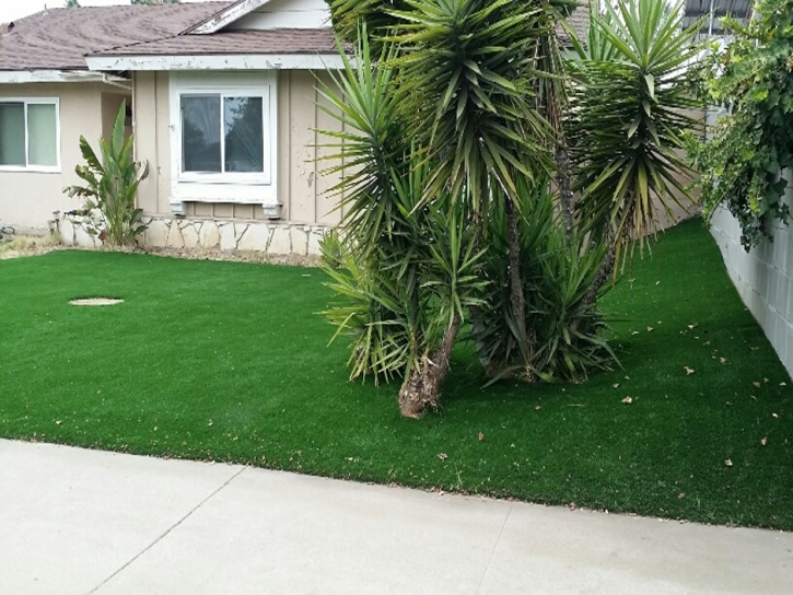 Grass Carpet Del Rio, California Landscaping Business, Front Yard Landscaping