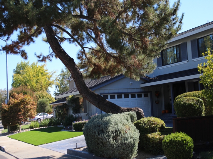 Grass Carpet Grayson, California Backyard Playground, Front Yard Landscaping Ideas