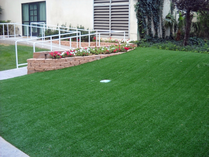 Grass Carpet Hughson, California Landscape Photos, Small Front Yard Landscaping