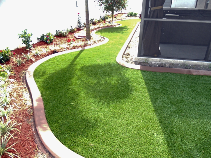 Grass Carpet Modesto, California Lawn And Garden, Backyard Landscape Ideas