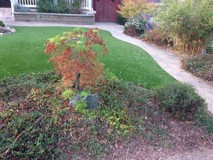 Grass Carpet Oakdale, California Home And Garden, Front Yard Ideas