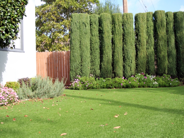 Grass Carpet Valley Home, California Rooftop, Small Front Yard Landscaping