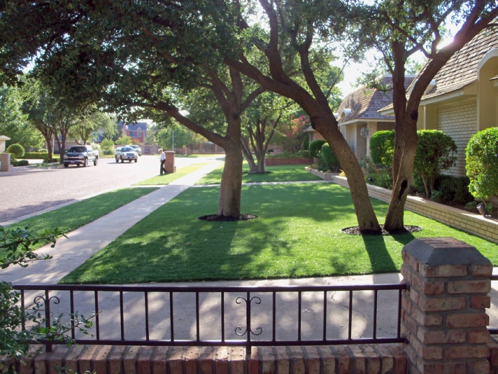 Grass Carpet Waterford, California Gardeners, Front Yard Ideas