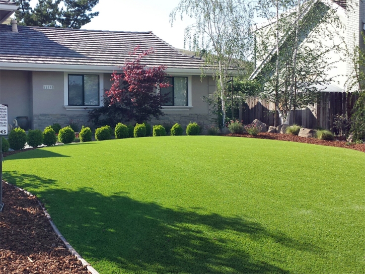 Grass Carpet Waterford, California Lawn And Garden, Front Yard Ideas