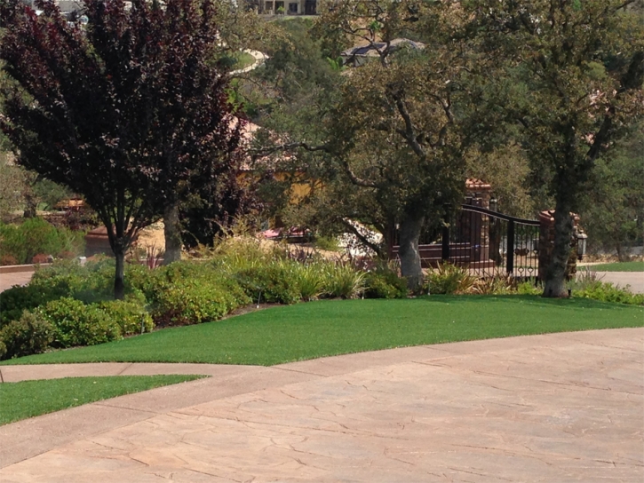 Grass Installation Hickman, California Lawn And Garden, Small Backyard Ideas