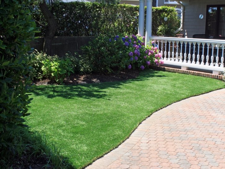 Grass Installation West Modesto, California Gardeners, Front Yard Ideas