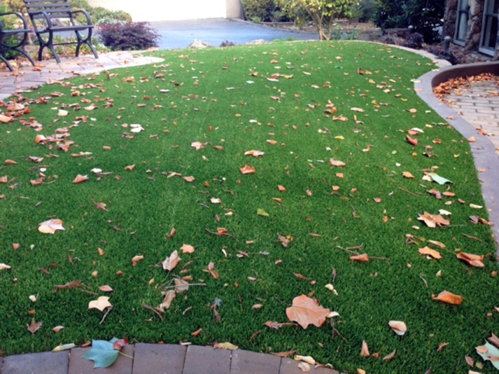 Grass Turf Bret Harte, California Landscape Ideas, Front Yard Design