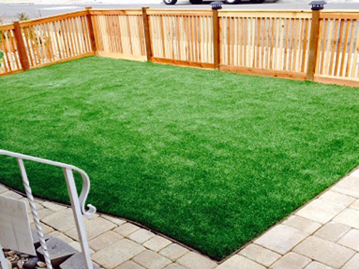 Grass Turf Crows Landing, California Garden Ideas, Backyard