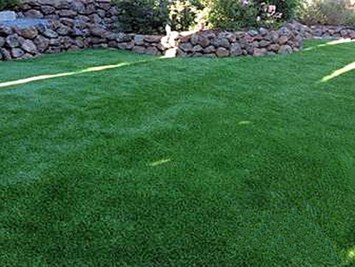 Grass Turf East Oakdale, California Dogs, Backyard Landscape Ideas