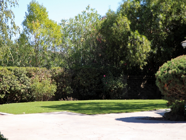 Grass Turf Hughson, California Dog Park, Small Front Yard Landscaping