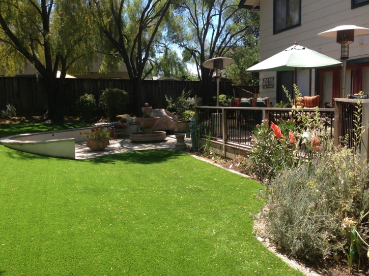 Grass Turf Keyes, California Landscape Rock, Backyard Landscape Ideas