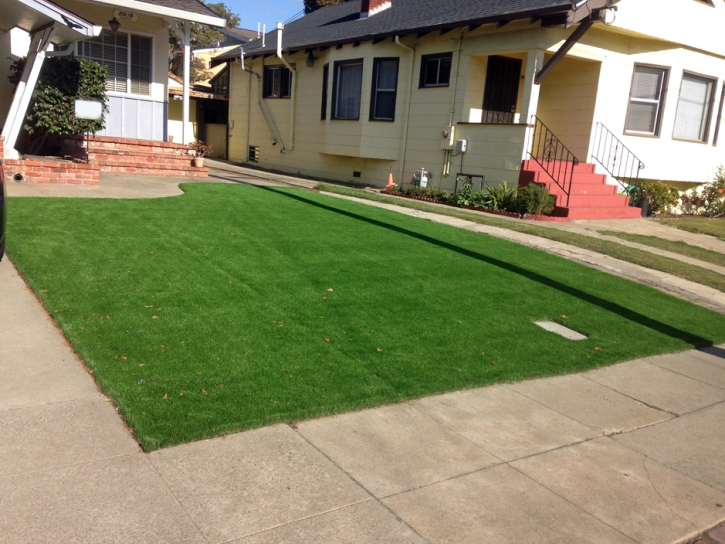 Grass Turf Oakdale, California Backyard Playground, Landscaping Ideas For Front Yard