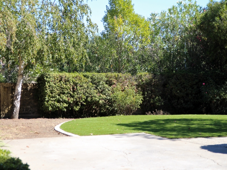 Grass Turf Patterson, California Roof Top, Backyard Landscaping