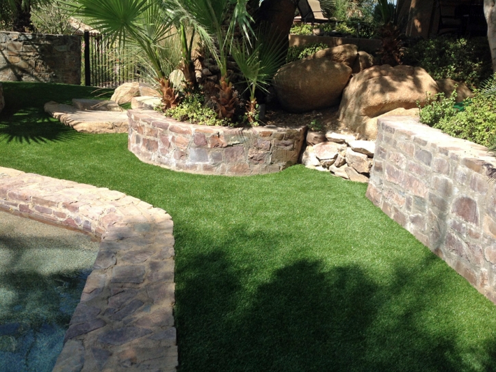 Grass Turf Riverbank, California Pet Paradise, Backyard Landscaping Ideas