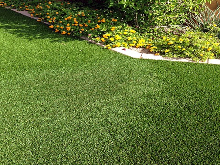 Grass Turf Turlock, California Landscaping, Front Yard Landscaping