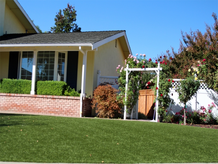 Green Lawn Bret Harte, California Landscape Photos, Front Yard Ideas