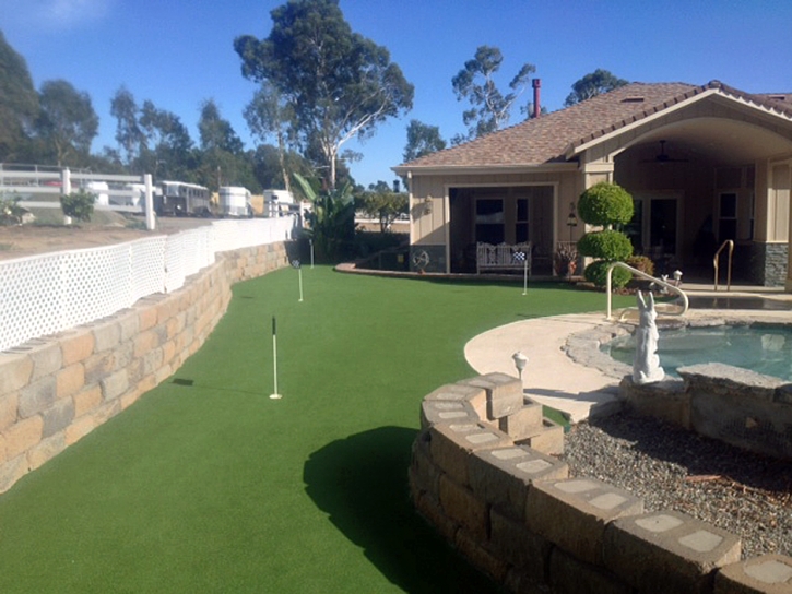 Green Lawn Crows Landing, California Landscape Design, Backyard Landscaping Ideas