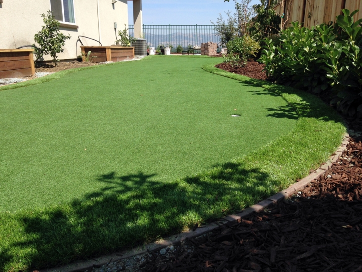 Green Lawn East Oakdale, California Lawns, Backyard Garden Ideas