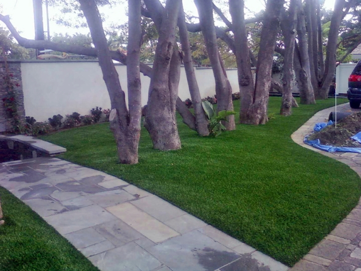 Green Lawn Hughson, California Design Ideas, Front Yard Landscaping Ideas