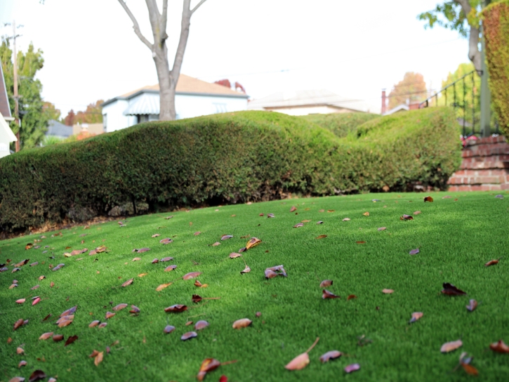 Green Lawn Modesto, California Landscaping Business, Front Yard Landscaping