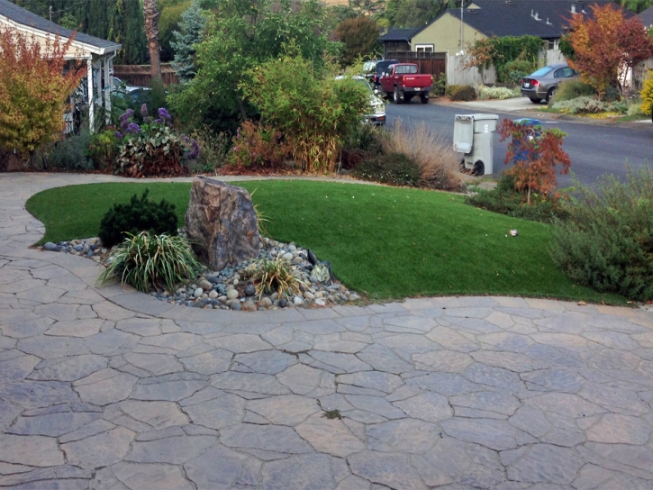 Green Lawn Newman, California Backyard Playground, Front Yard Design