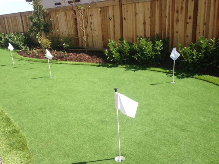 Green Lawn Valley Home, California Best Indoor Putting Green, Backyard Landscaping Ideas