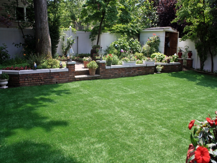 Lawn Services Ceres, California Design Ideas, Backyard Garden Ideas