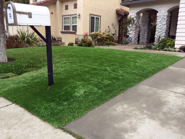 Lawn Services Oakdale, California Roof Top, Front Yard Design