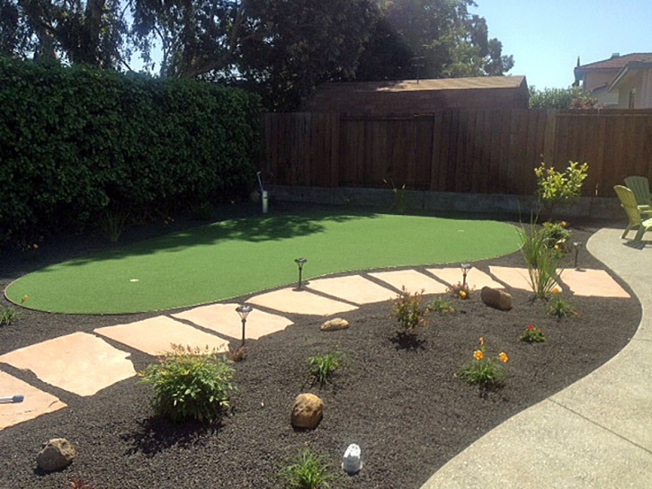 Lawn Services Shackelford, California Artificial Putting Greens, Backyard Designs