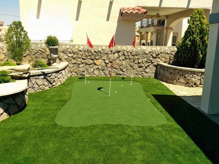 Outdoor Carpet Bret Harte, California Lawn And Garden, Backyard Designs