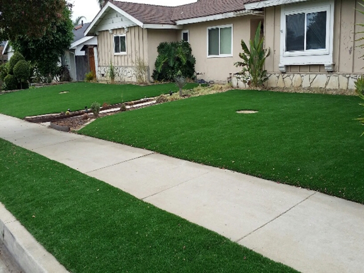 Outdoor Carpet Bystrom, California Landscape Photos, Front Yard Landscaping