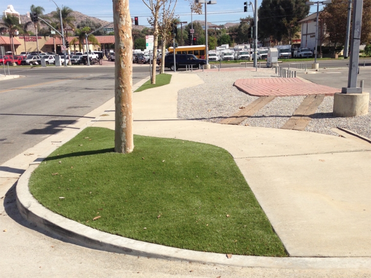 Outdoor Carpet Bystrom, California Paver Patio, Commercial Landscape