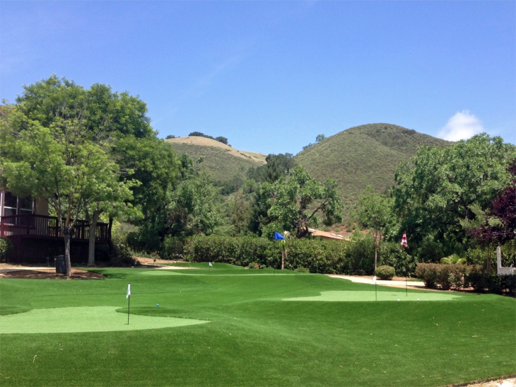 Outdoor Carpet Crows Landing, California Putting Green Turf, Front Yard Landscaping