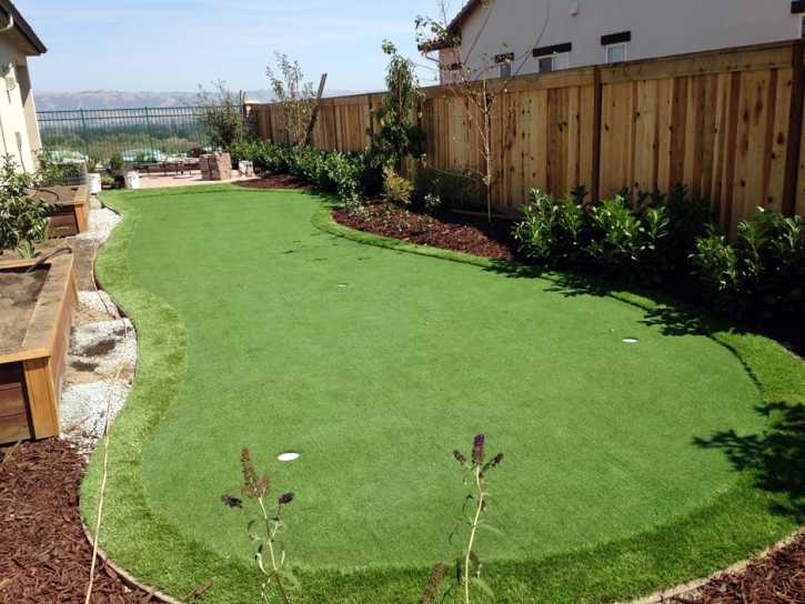 Outdoor Carpet Hughson, California Outdoor Putting Green, Backyard