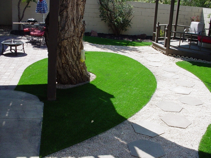 Plastic Grass Ceres, California Landscape Rock, Backyard Landscaping