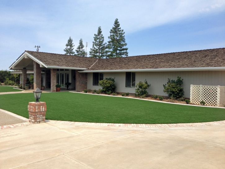 Plastic Grass Denair, California Rooftop, Front Yard Design