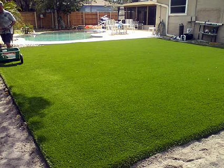 Plastic Grass Hughson, California Design Ideas, Small Backyard Ideas