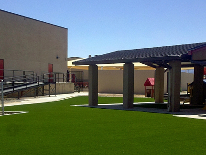 Plastic Grass Hughson, California Landscape Design, Commercial Landscape