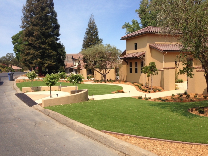 Plastic Grass Modesto, California Landscape Photos, Front Yard