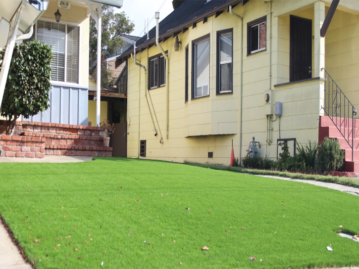 Plastic Grass Modesto, California Roof Top, Front Yard Ideas