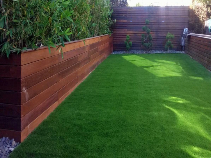 Plastic Grass Patterson, California Landscaping Business, Backyard Design