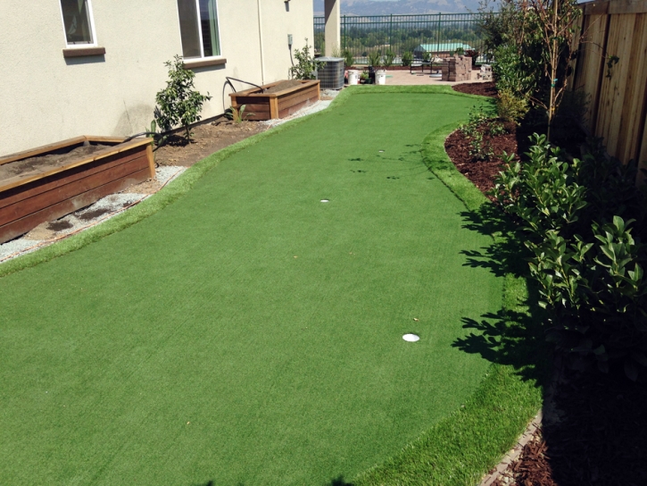 Plastic Grass Riverdale Park, California Office Putting Green, Backyard Designs