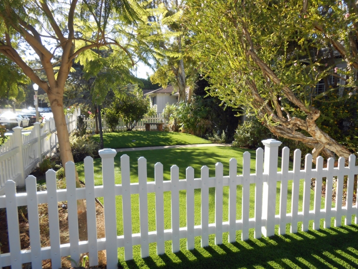 Plastic Grass Shackelford, California Lawn And Garden, Small Front Yard Landscaping