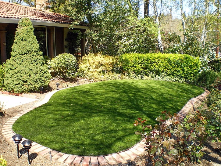 Plastic Grass Shackelford, California Paver Patio, Backyard Makeover