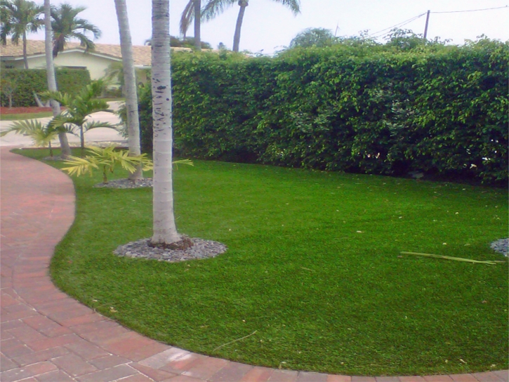 Plastic Grass Turlock, California Garden Ideas, Front Yard Ideas