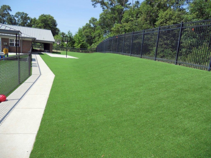 Synthetic Grass Bret Harte, California Gardeners, Commercial Landscape