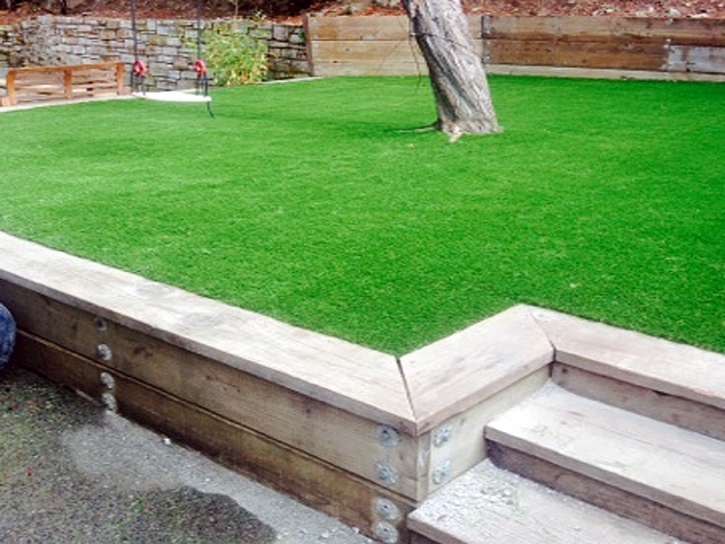 Synthetic Grass Bystrom, California Design Ideas, Backyard Ideas