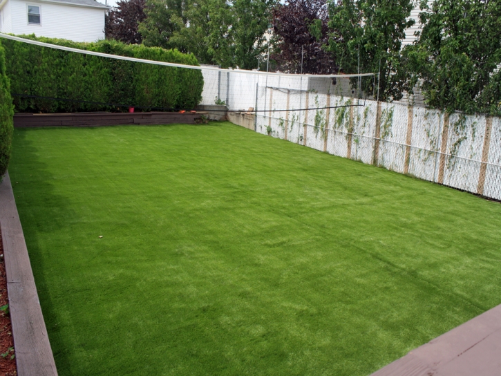 Synthetic Grass Cost Bystrom, California Landscaping Business, Backyard