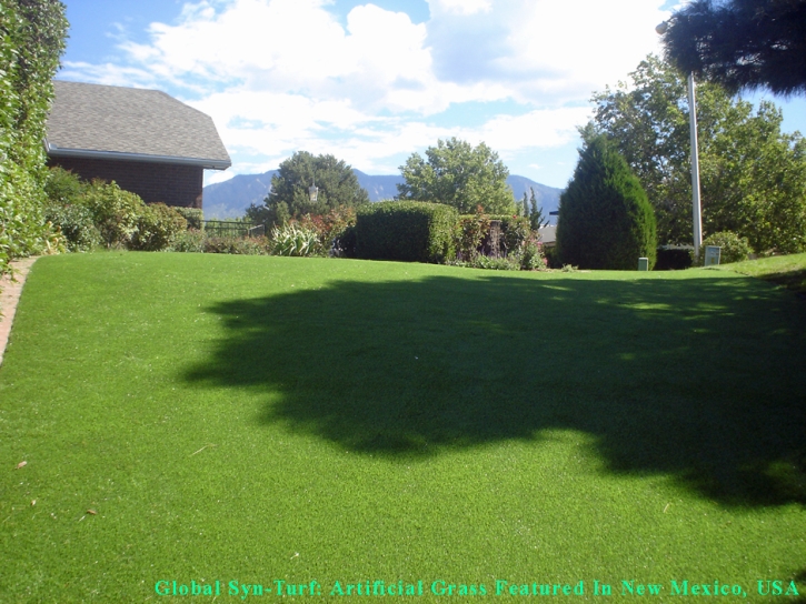 Synthetic Grass Cost Ceres, California Dog Parks, Backyard Ideas